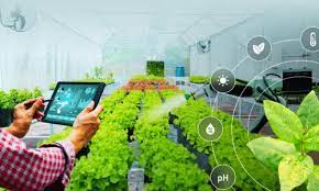The Role of Technology in Modern Agriculture