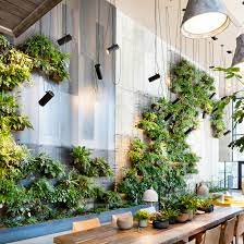 Creating a Green Living Wall in Your Home