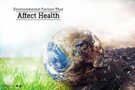 The Impact of Environmental Factors on Health