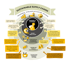 Strategies for Building a Sustainable Supply Chain